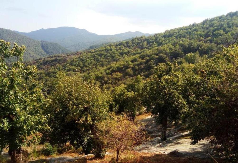Gite De Fontfouillouse Les Plantiers المظهر الخارجي الصورة
